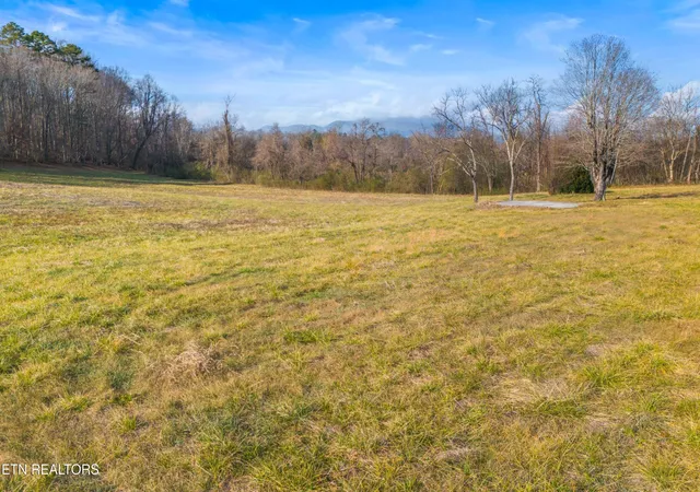 3rd image of 4121 Chavis Rd, Cosby, TN 37722 | MLS# 1326067