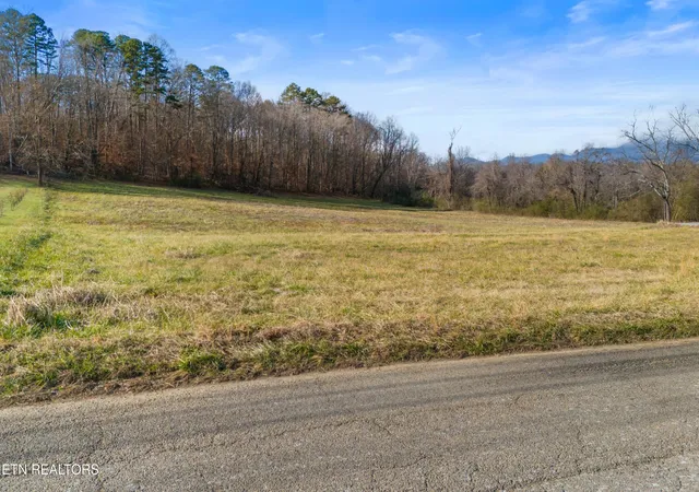 4th image of 4121 Chavis Rd, Cosby, TN 37722 | MLS# 1326067