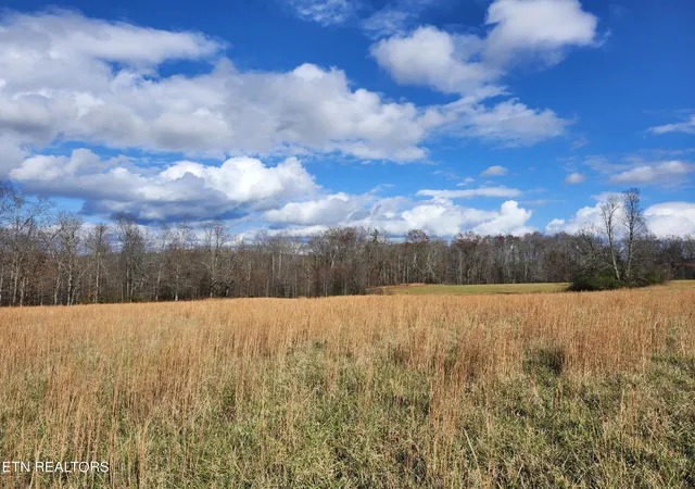Homes for sale in Deer Lodge, TN | 379 Christenson Rd, Deer Lodge, TN 37726 | MLS# 1326132