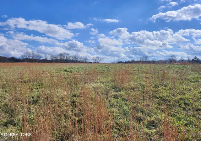 Homes for sale in Deer Lodge, TN | 379 Christenson Rd, Deer Lodge, TN 37726 | MLS# 1326132