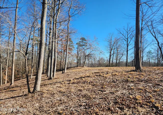 1st image of Lot 52 E Poplar Ln, La Follette, TN 37766 | MLS# 1326322