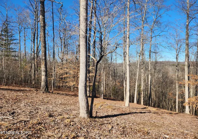 2nd image of Lot 52 E Poplar Ln, La Follette, TN 37766 | MLS# 1326322