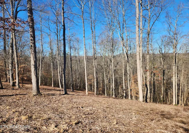 3rd image of Lot 52 E Poplar Ln, La Follette, TN 37766 | MLS# 1326322