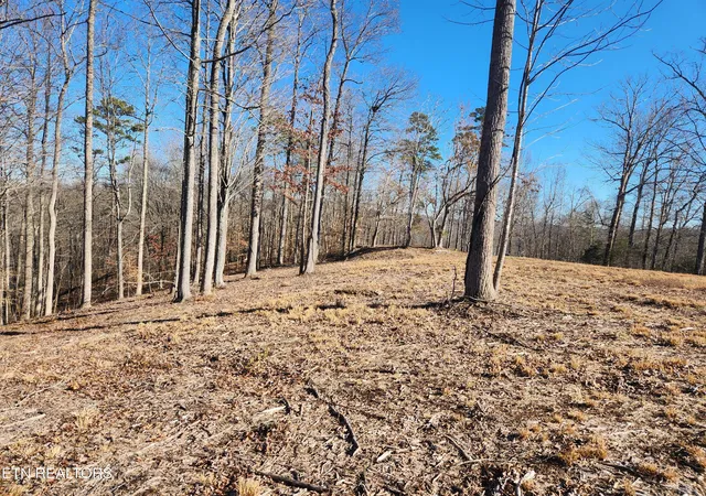 4th image of Lot 52 E Poplar Ln, La Follette, TN 37766 | MLS# 1326322