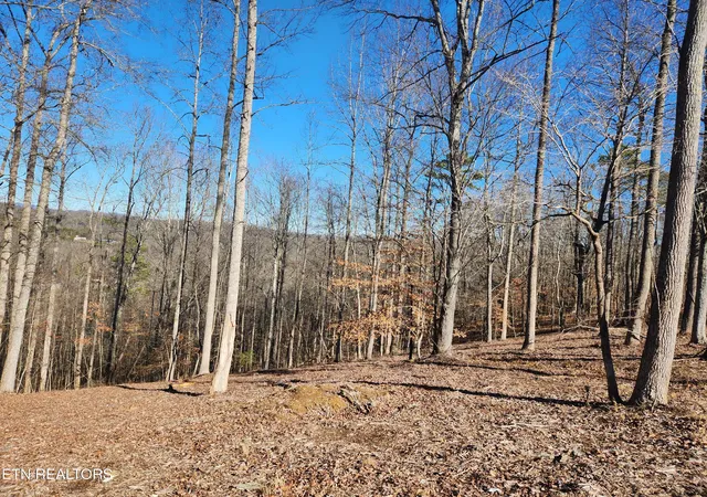 5th image of Lot 52 E Poplar Ln, La Follette, TN 37766 | MLS# 1326322