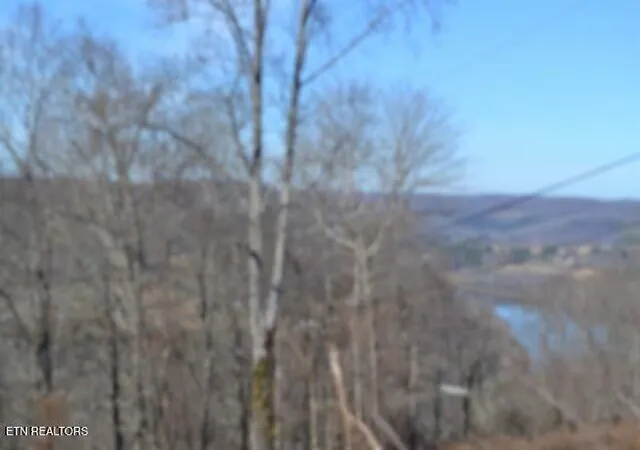 Homes for sale in Gainesboro, TN | 5Ac Schelley Rd, Gainesboro, TN 38562 | MLS# 1326311