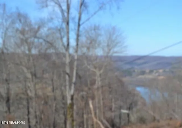 Homes for sale in Gainesboro, TN | 5Ac Schelley Rd, Gainesboro, TN 38562 | MLS# 1326311