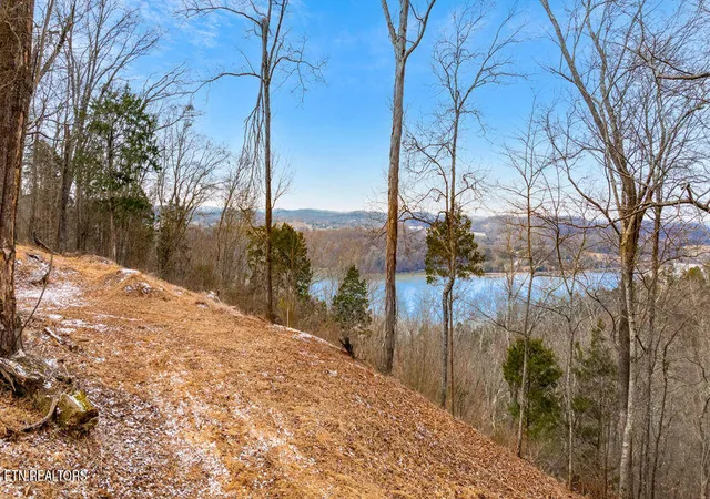 Homes for sale in Louisville, TN | 4129 Bear Hollow Loop, Louisville, TN 37777 | MLS# 1328078