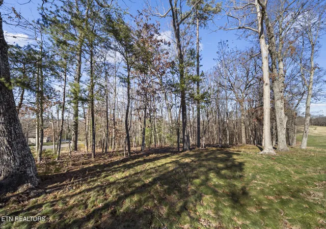 Photo 3 of Land for sale at 144 Valarian Dr, Crossville, TN 38558 | MLS# 1326599 | Listing updated on 2026-04-29