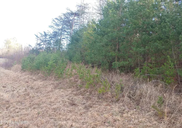 3rd image of Mill Creek Rd, Sunbright, TN 37872 | MLS# 1326811