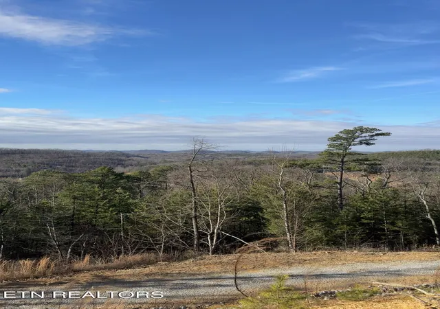 4th image of 117 Indian Ridge Dr, Tellico Plains, TN 37385 | MLS# 1327395