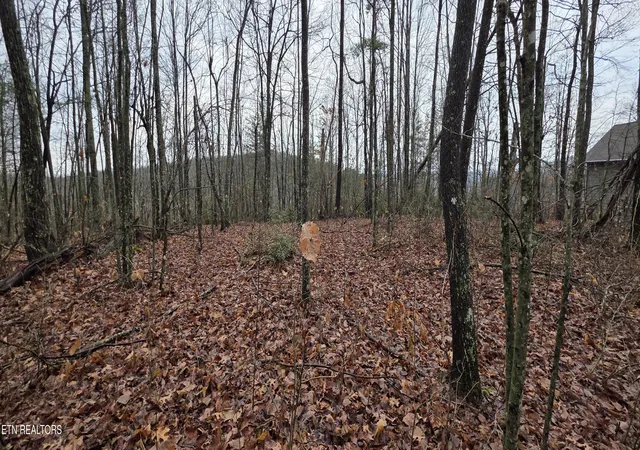 1st image of 772 Eastridge Pass, Monterey, TN 38574 | MLS# 1327161