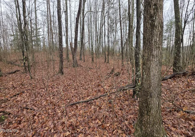 2nd image of 772 Eastridge Pass, Monterey, TN 38574 | MLS# 1327161