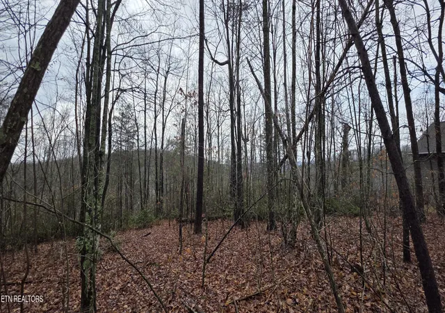 3rd image of 772 Eastridge Pass, Monterey, TN 38574 | MLS# 1327161