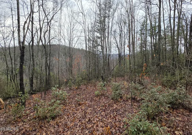 1st image of 778 Eastridge Pass, Monterey, TN 38574 | MLS# 1327162