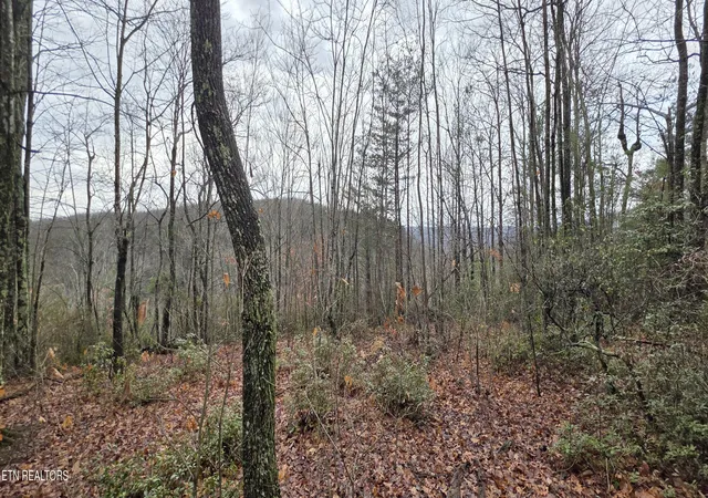 2nd image of 778 Eastridge Pass, Monterey, TN 38574 | MLS# 1327162