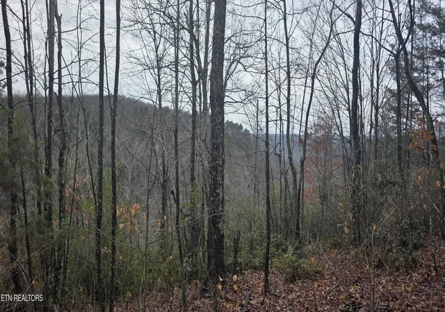 1st image of 786 Eastridge Pass, Monterey, TN 38574 | MLS# 1327163