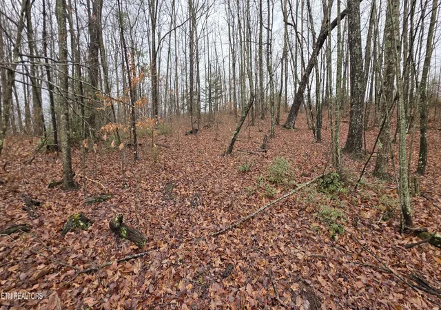 2nd image of 786 Eastridge Pass, Monterey, TN 38574 | MLS# 1327163