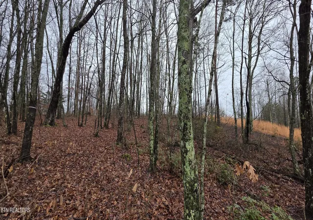 Photo 3 of Land for sale at 786 Eastridge Pass, Monterey, TN 38574 | MLS# 1327163 | Listing updated on 2026-01-21