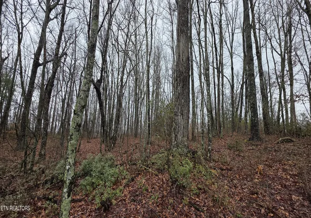 Photo 3 of Land for sale at 786 Eastridge Pass, Monterey, TN 38574 | MLS# 1327163 | Listing updated on 2026-01-21