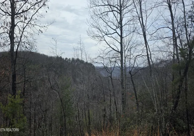 1st image of 794 Eastridge Pass, Monterey, TN 38574 | MLS# 1327165
