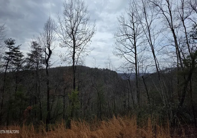 2nd image of 794 Eastridge Pass, Monterey, TN 38574 | MLS# 1327165