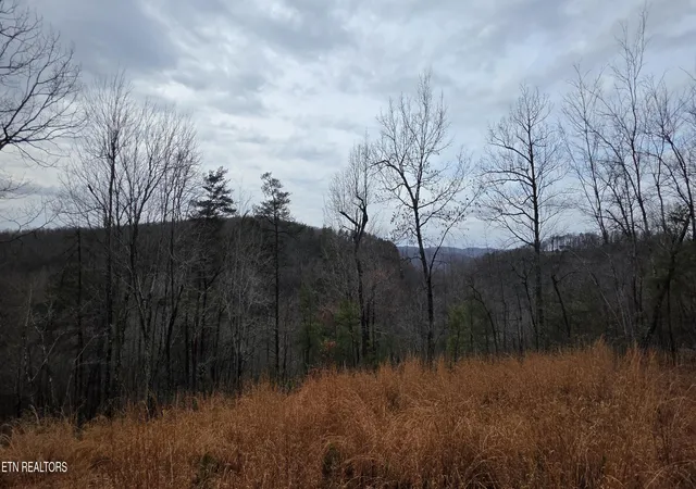 Photo 3 of Land for sale at 794 Eastridge Pass, Monterey, TN 38574 | MLS# 1327165 | Listing updated on 2026-01-21