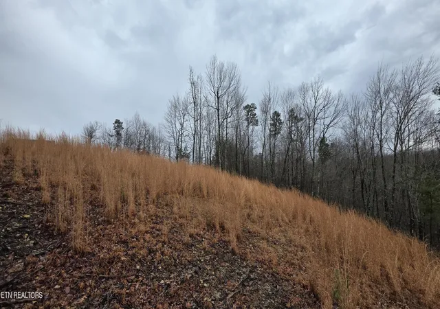 Photo 3 of Land for sale at 794 Eastridge Pass, Monterey, TN 38574 | MLS# 1327165 | Listing updated on 2026-01-21