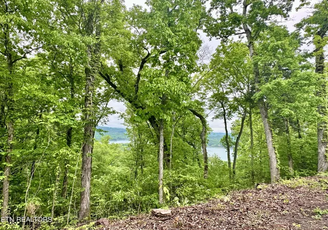 Photo 3 of Land for sale at Lot 731 Russell Brothers Rd, Sharps Chapel, TN 37866 | MLS# 1327626 | Listing updated on 2026-01-26