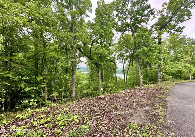 Photo 3 of Land for sale at Lot 731 Russell Brothers Rd, Sharps Chapel, TN 37866 | MLS# 1327626 | Listing updated on 2026-01-26