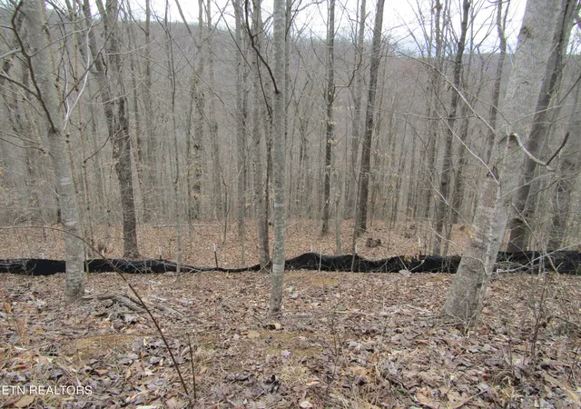 Homes for sale in Wilder, TN | Lot 60 W Bobcat Lane, Wilder, TN 38589 | MLS# 1327455