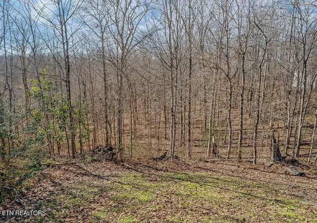 Homes for sale in Celina, TN | 94 Cummins Ct, Celina, TN 38551 | MLS# 1327664