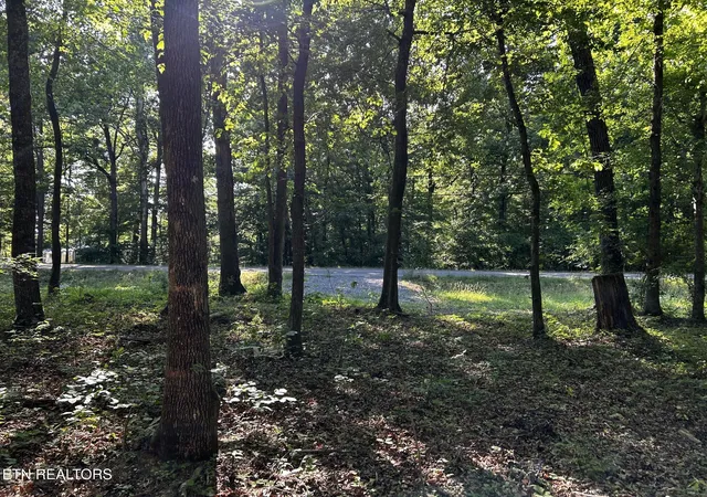 Homes for sale in Ten Mile, TN | Lakeview 1 Hwy 304, Ten Mile, TN 37880 | MLS# 1327550