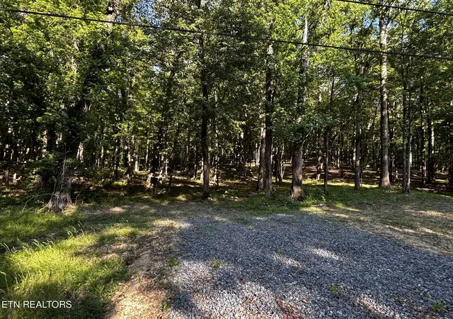 Homes for sale in Ten Mile, TN | Lakeview 1 Hwy 304, Ten Mile, TN 37880 | MLS# 1327550