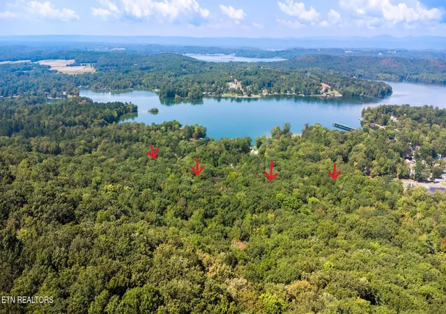 Homes for sale in Ten Mile, TN | Lakeview 2 Hwy 304, Ten Mile, TN 37880 | MLS# 1327551