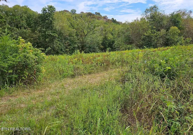 Homes for sale in Buffalo Valley, TN | 00 Tn-96, Buffalo Valley, TN 38548 | MLS# 1327639