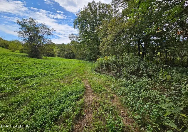 Homes for sale in Buffalo Valley, TN | 00 Tn-96, Buffalo Valley, TN 38548 | MLS# 1327639