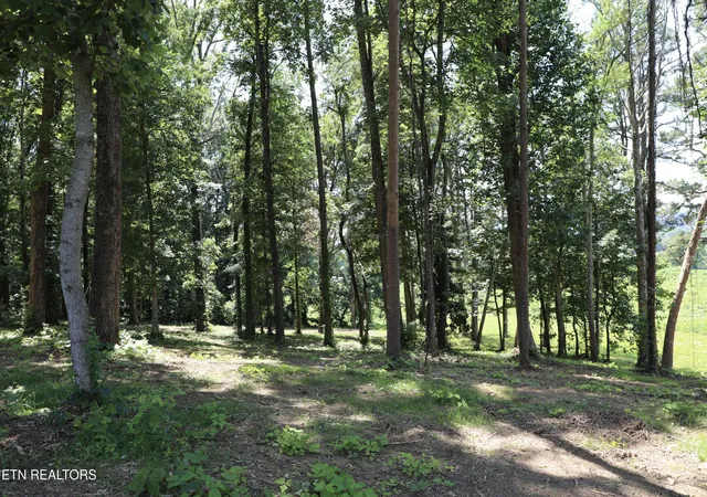 Homes for sale in Madisonville, TN | Lot 1 E Crestview Dr, Madisonville, TN 37354 | MLS# 1327763