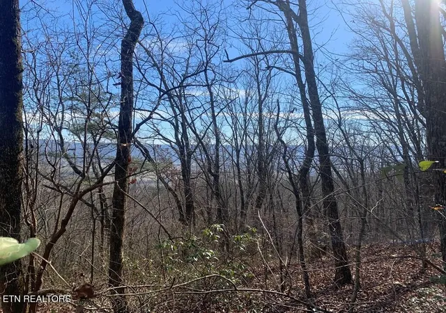 Homes for sale in Pikeville, TN | 47a Gray Rock View, Pikeville, TN 37367 | MLS# 1327752