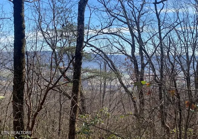 Homes for sale in Pikeville, TN | 47A Gray Rock View, Pikeville, TN 37367 | MLS# 1327752