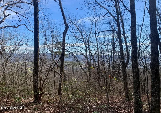 Homes for sale in Pikeville, TN | 47A Gray Rock View, Pikeville, TN 37367 | MLS# 1327752