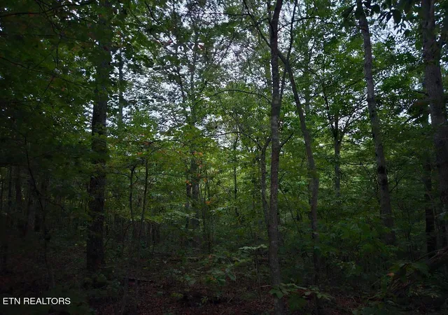 Homes for sale in Wilder, TN | 00 Sandy Rd N/O Rd, Wilder, TN 38589 | MLS# 1327770