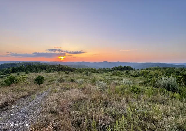 Homes for sale in Pioneer, TN | 207 Lick Fork Ln, Pioneer, TN 37847 | MLS# 1327836