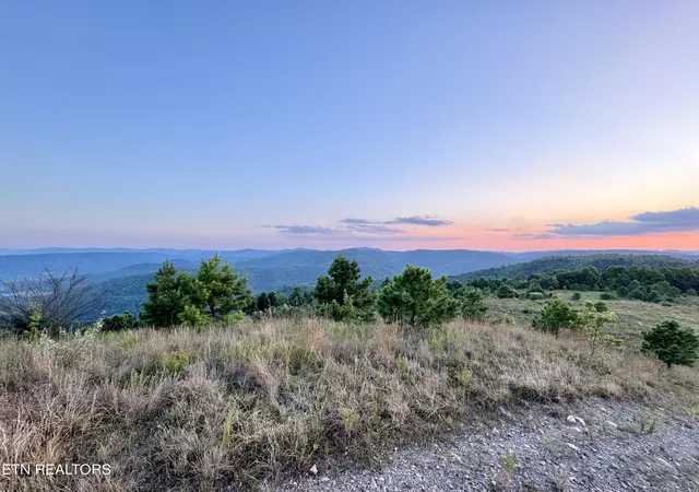 Homes for sale in Pioneer, TN | 207 Lick Fork Ln, Pioneer, TN 37847 | MLS# 1327836