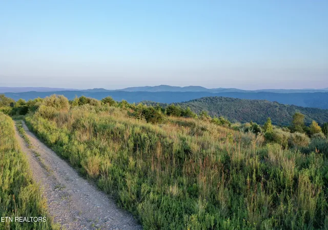 Homes for sale in Pioneer, TN | 207 Lick Fork Ln, Pioneer, TN 37847 | MLS# 1327836