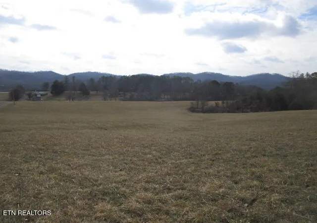Photo 2 of Land for sale at Jarnagin Ave, Rutledge, TN 37861 | MLS# 1328423 | Listing updated on 2026-02-04
