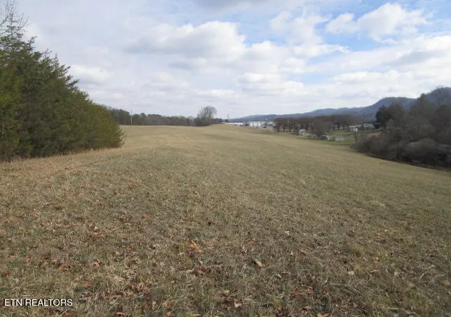 Photo 4 of Land for sale at Jarnagin Ave, Rutledge, TN 37861 | MLS# 1328423 | Listing updated on 2026-02-04