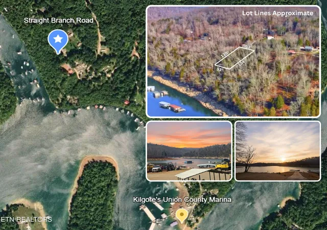 Homes for sale in Speedwell, TN | Straight Branch Rd, Speedwell, TN 37870 | MLS# 1328161
