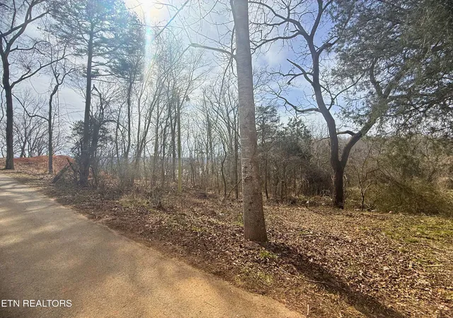 Homes for sale in Speedwell, TN | Straight Branch Rd, Speedwell, TN 37870 | MLS# 1328161