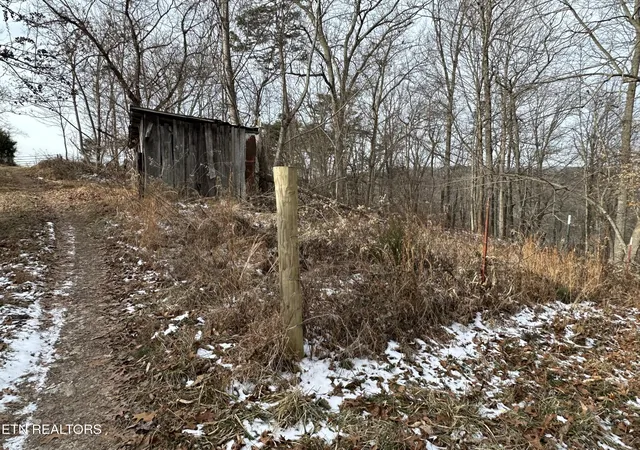 Homes for sale in Speedwell, TN | Tbd Russell Ridge Rd, Speedwell, TN 37870 | MLS# 1328416